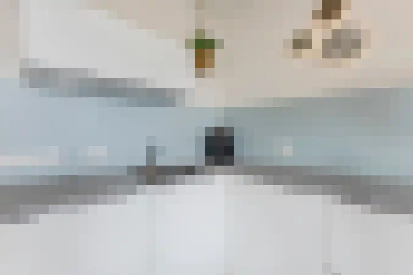 Zuideinde 74 X Koog aan de Zaan thumbnail 10