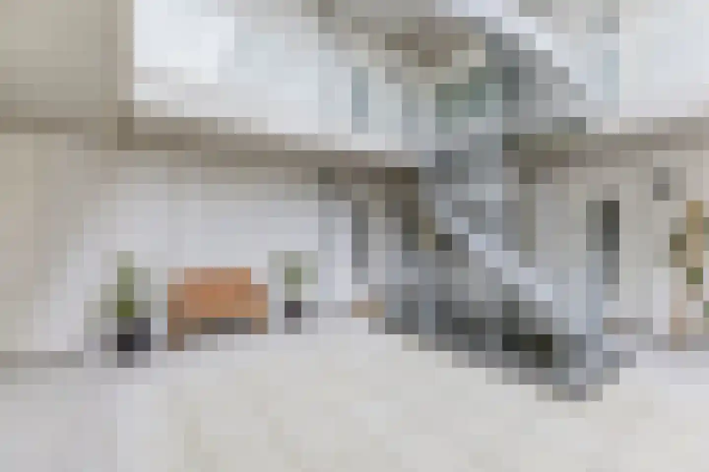 Zuideinde 74 X Koog aan de Zaan thumbnail 4