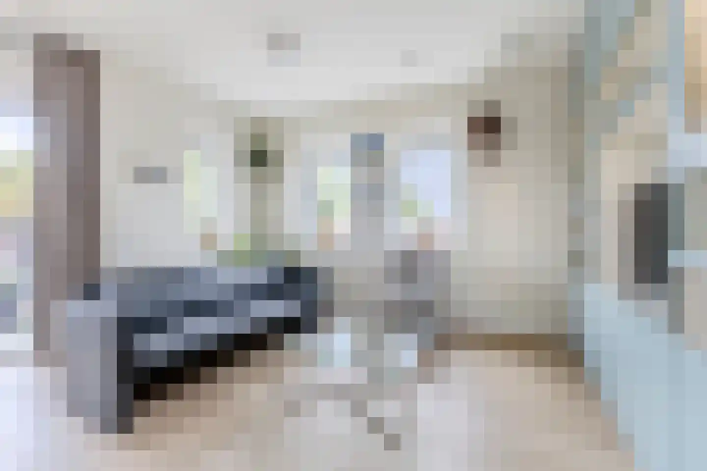 Zuideinde 74 X Koog aan de Zaan thumbnail 6