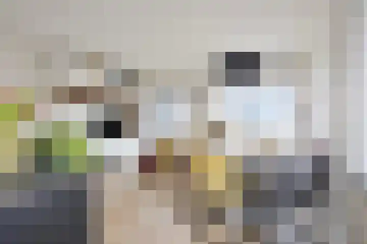 Zuideinde 78 K Koog aan de Zaan thumbnail 15