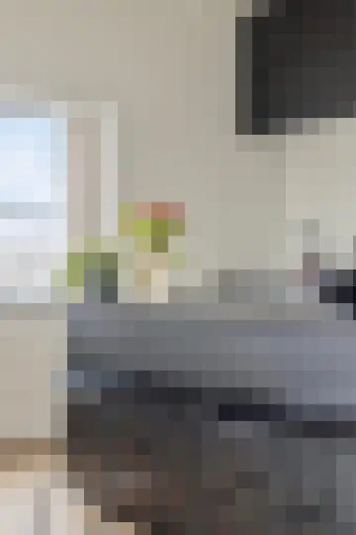 Zuideinde 78 K Koog aan de Zaan thumbnail 17