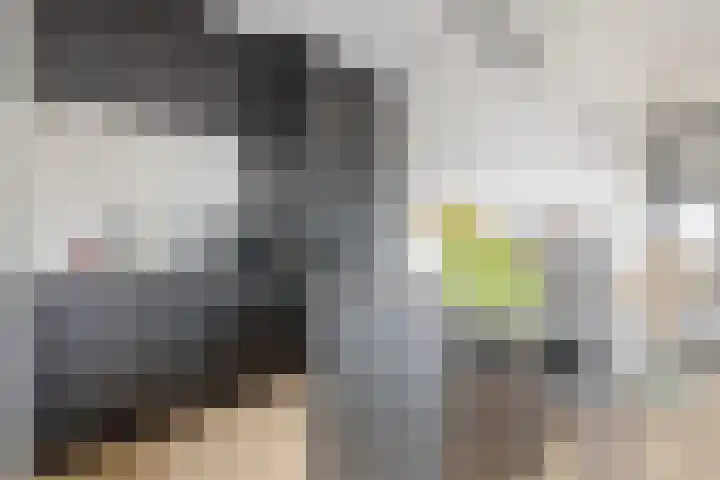 Zuideinde 78 K Koog aan de Zaan thumbnail 19