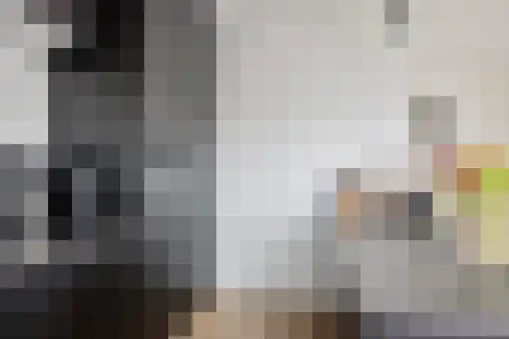 Zuideinde 78 K Koog aan de Zaan thumbnail 23