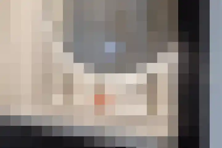 Zuideinde 78 K Koog aan de Zaan thumbnail 31