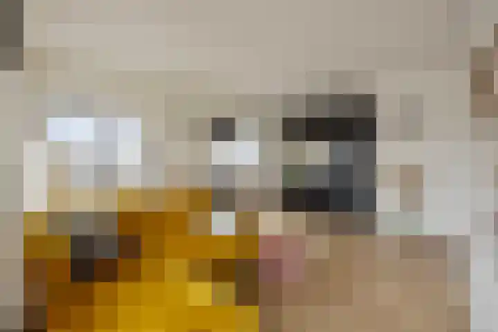 Zuideinde 78 K Koog aan de Zaan thumbnail 4