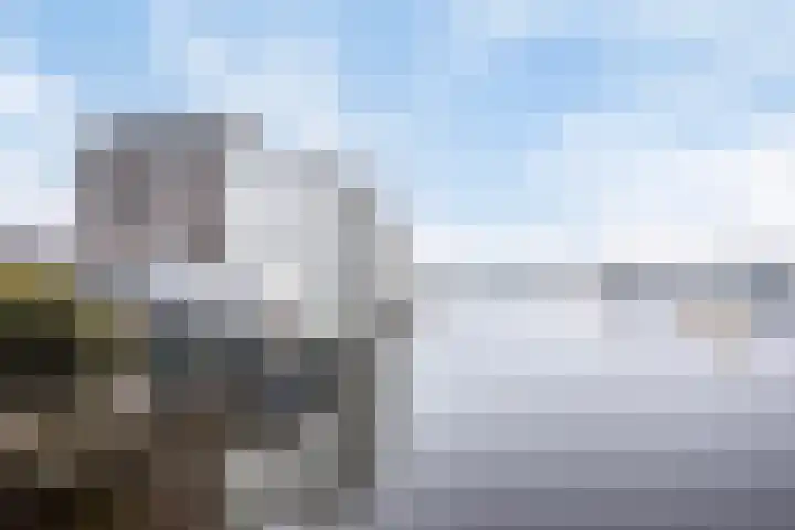 Zuideinde 78 K Koog aan de Zaan thumbnail 44