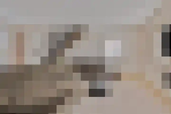 Zuideinde 79 D Westzaan thumbnail 25