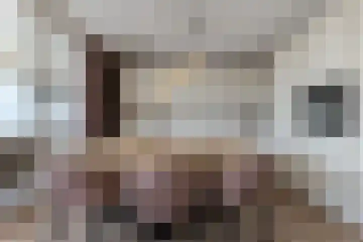 Zuideinde 80 E Koog aan de Zaan thumbnail 7