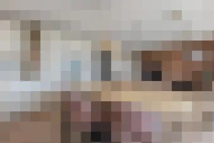 Zuideinde 80 E Koog aan de Zaan thumbnail 8