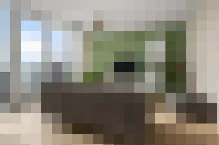 Zuideinde 82 B Koog aan de Zaan thumbnail 10