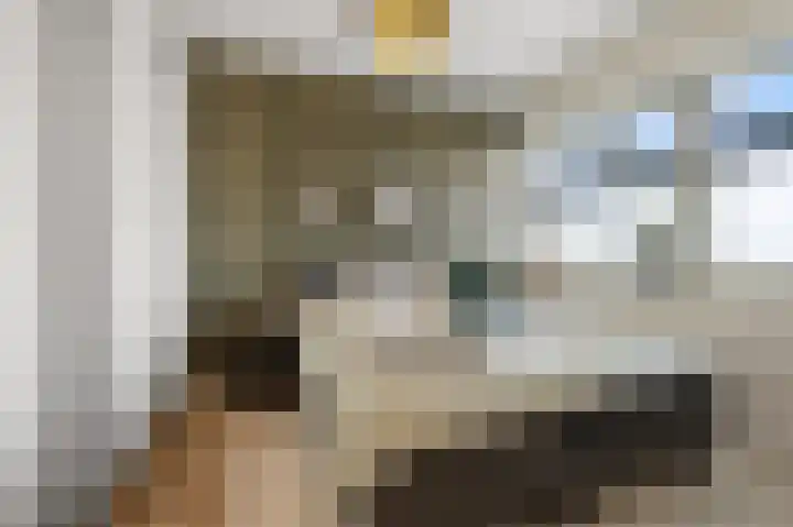 Zuideinde 82 B Koog aan de Zaan thumbnail 15