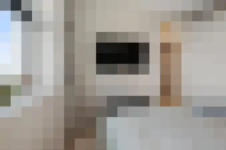 Zuideinde 82 B Koog aan de Zaan thumbnail 16