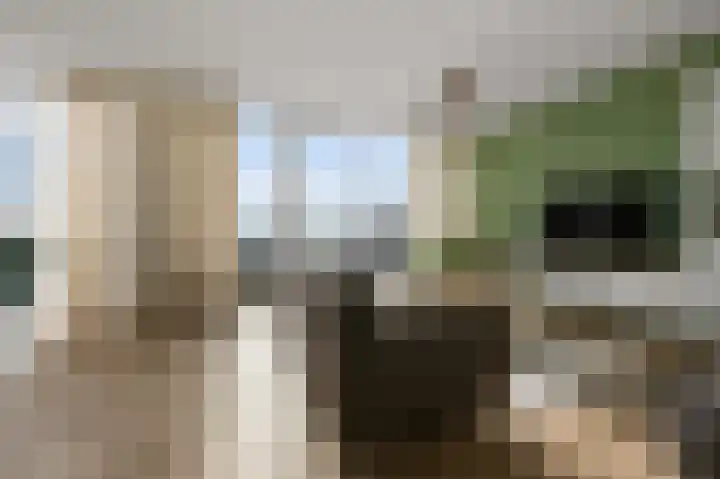 Zuideinde 82 B Koog aan de Zaan thumbnail 8