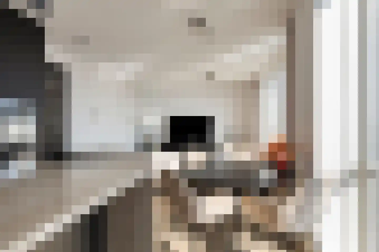 Zuideinde 82 C Koog aan de Zaan thumbnail 13