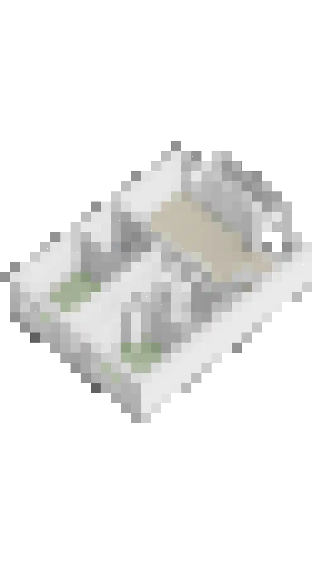 Zuideinde 82 C Koog aan de Zaan thumbnail 46