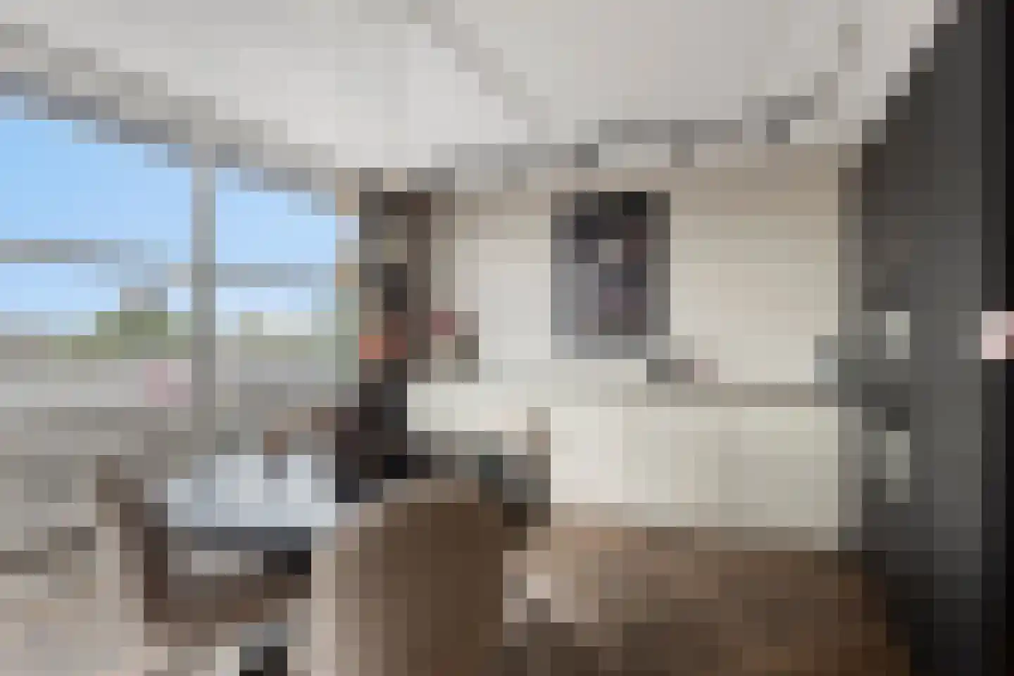 Zuideinde 82 D Koog aan de Zaan thumbnail 12