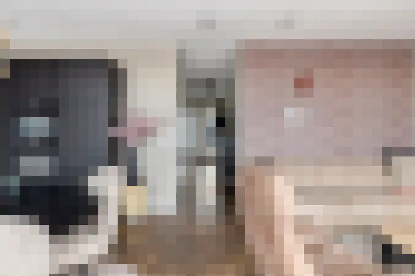 Zuideinde 82 D Koog aan de Zaan thumbnail 16