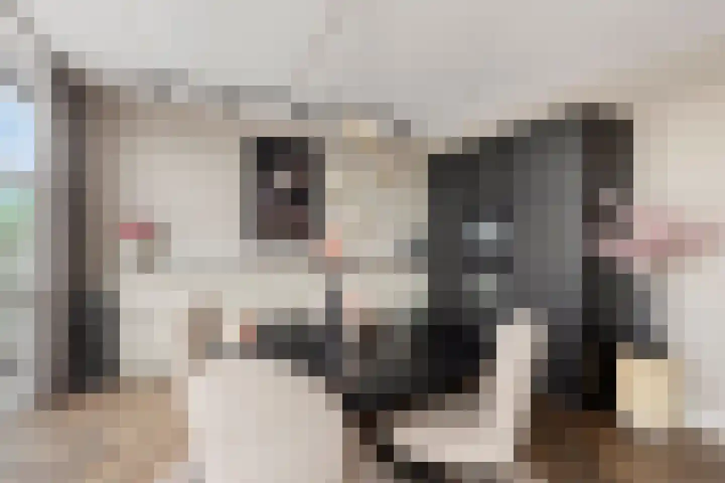 Zuideinde 82 D Koog aan de Zaan thumbnail 17