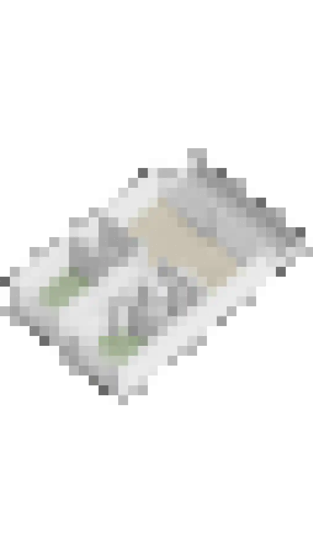 Zuideinde 82 D Koog aan de Zaan thumbnail 39
