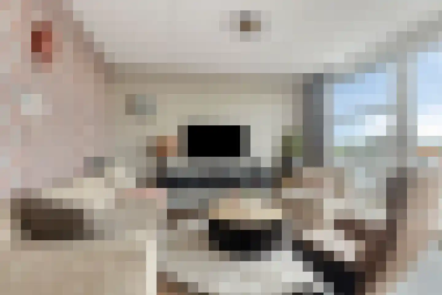 Zuideinde 82 D Koog aan de Zaan thumbnail 4