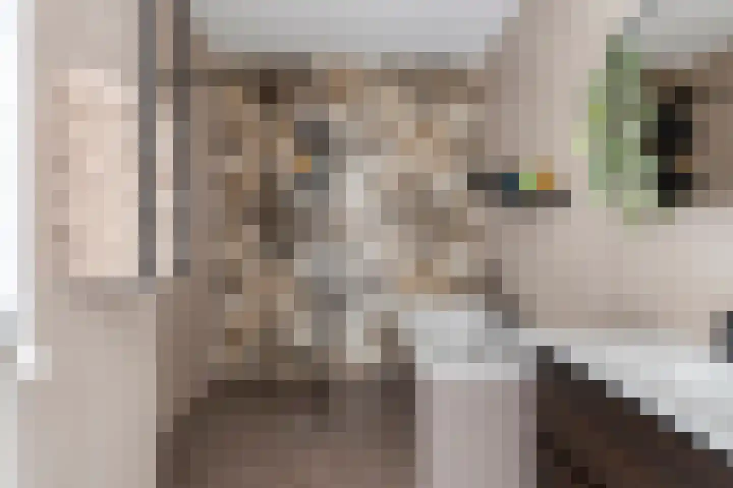Zuideinde 82 D Koog aan de Zaan thumbnail 7