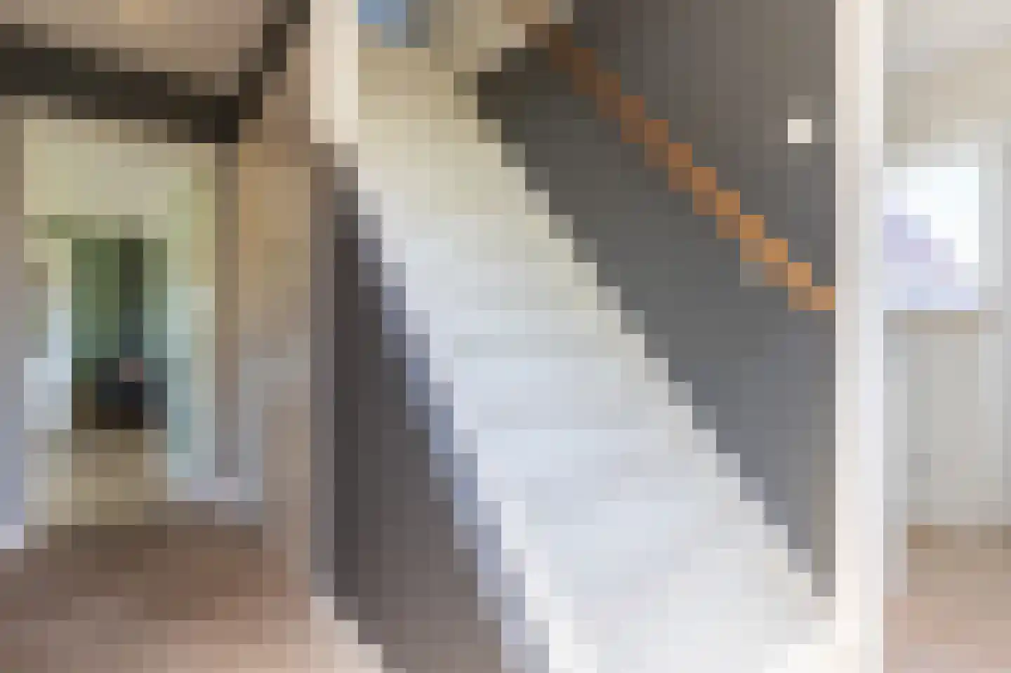Zuideinde 85 a Roelofarendsveen thumbnail 11
