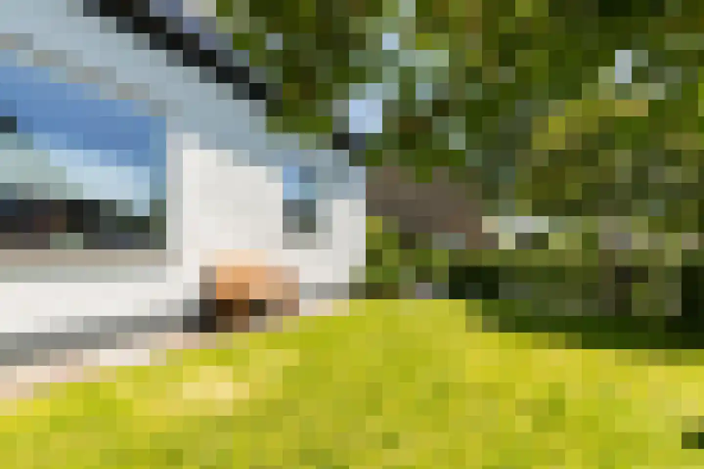 Zuideinde 85 a Roelofarendsveen thumbnail 45