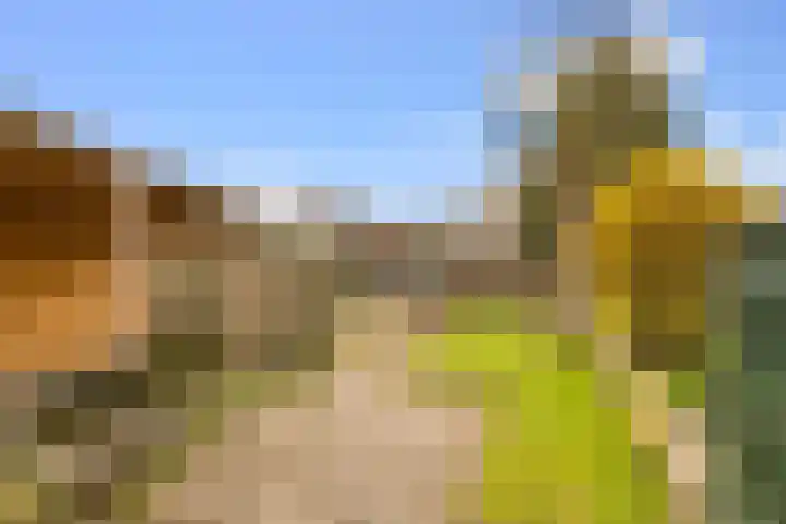 Zuideinde 88 Oostzaan thumbnail 20