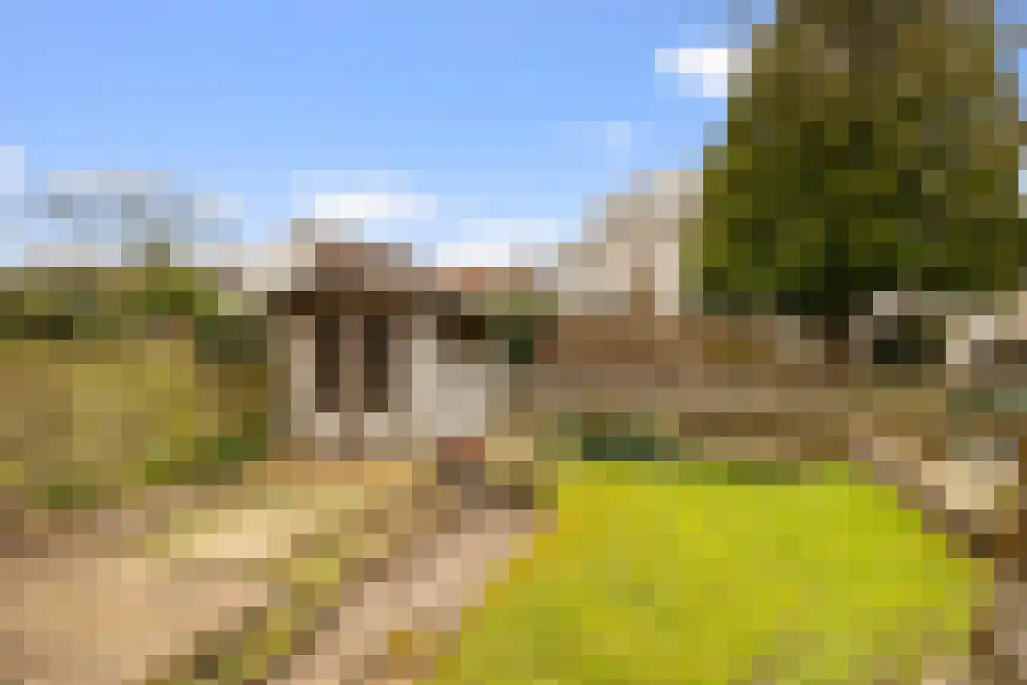 Zuideinde 88 Oostzaan thumbnail 21
