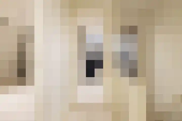 Zuideinde 88 Oostzaan thumbnail 27