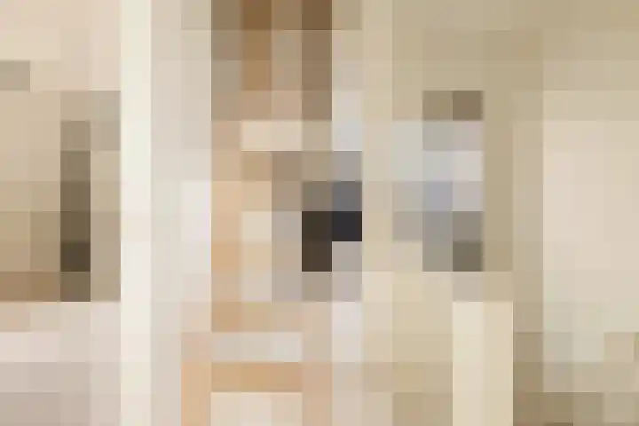 Zuideinde 88 Oostzaan thumbnail 28