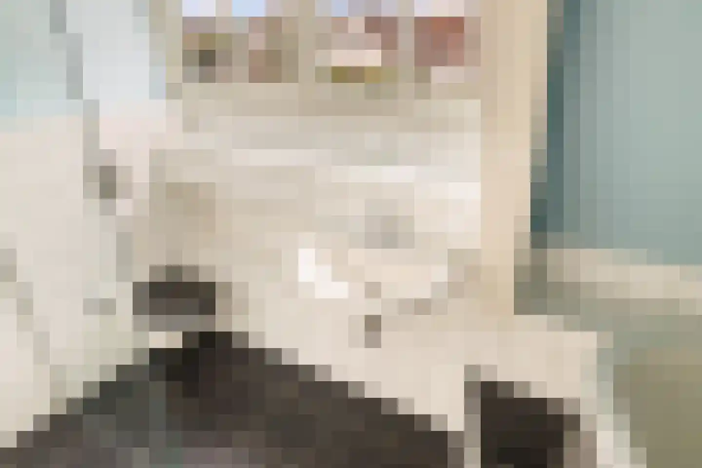Zuideinde 88 Oostzaan thumbnail 34