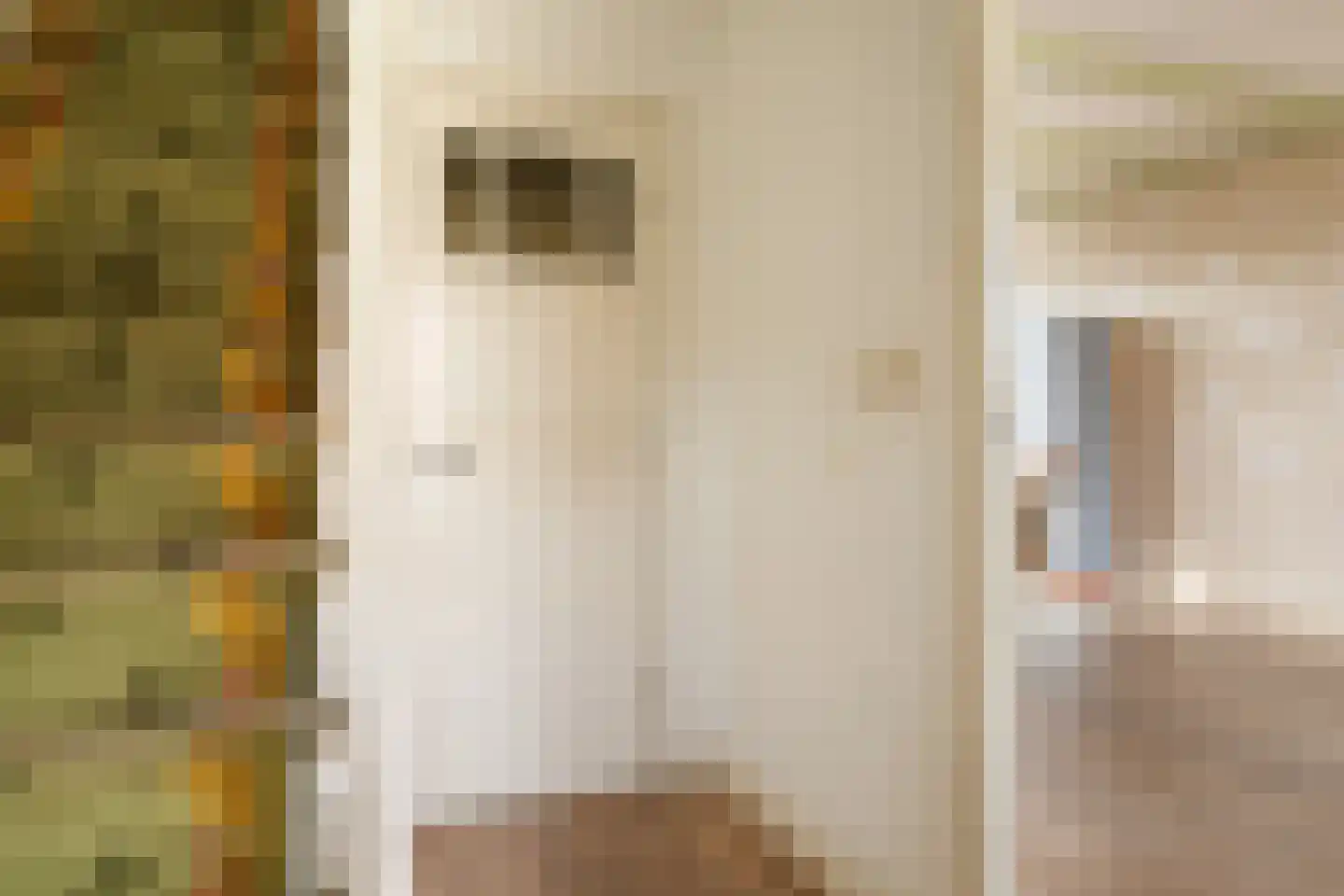 Zuideinde 88 Oostzaan thumbnail 5