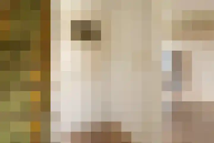 Zuideinde 88 Oostzaan thumbnail 5