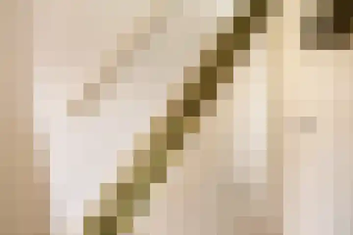 Zuideinde 88 Oostzaan thumbnail 6