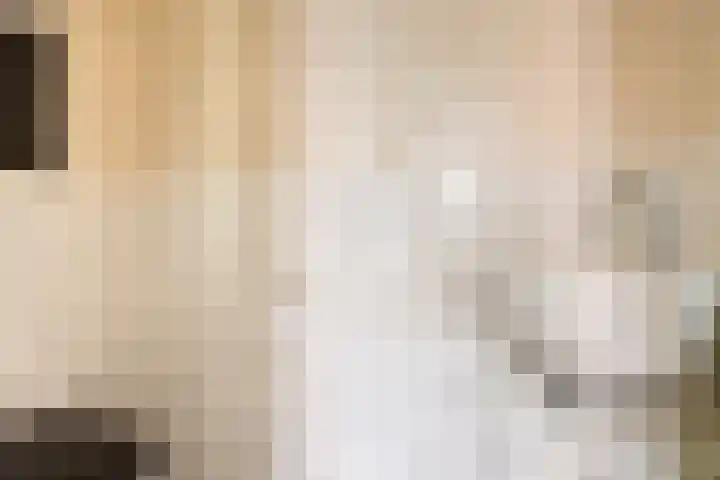 Zuideinde 88 Oostzaan thumbnail 7