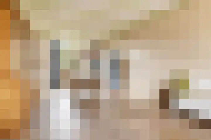 Zuideinde 88 Oostzaan thumbnail 9