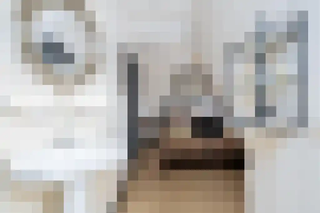 Zuideinde 89 Oostzaan thumbnail 33