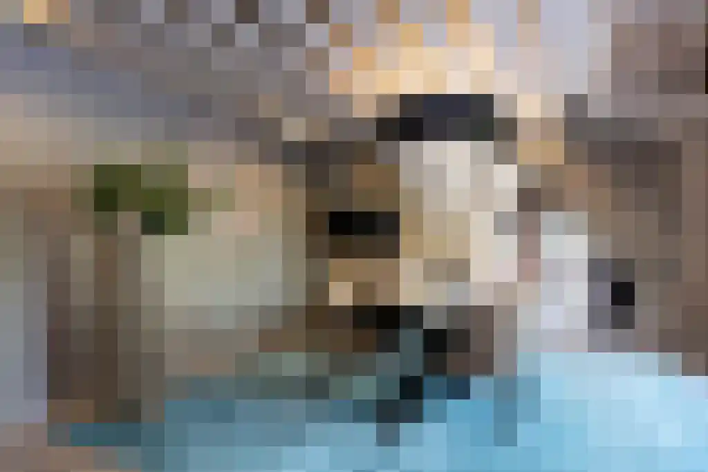 Zuideinde 89 Oostzaan thumbnail 38