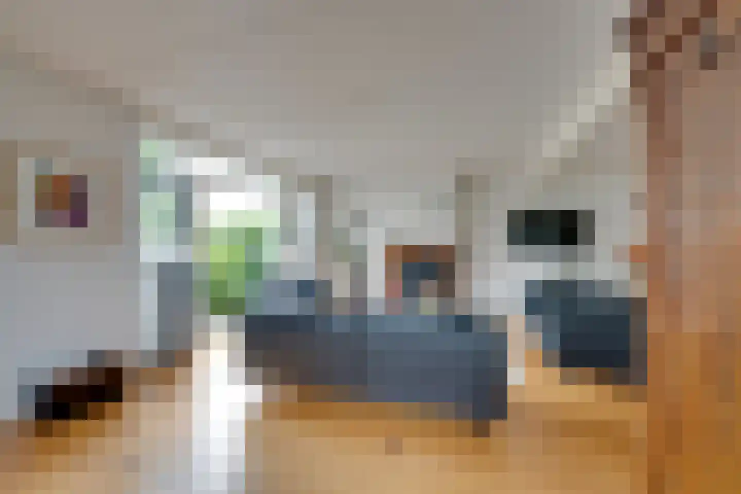 Zuideinde 93 Grootschermer thumbnail 14