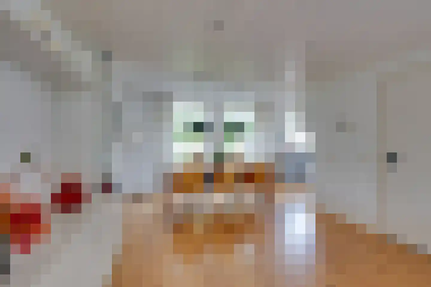 Zuideinde 93 Grootschermer thumbnail 20