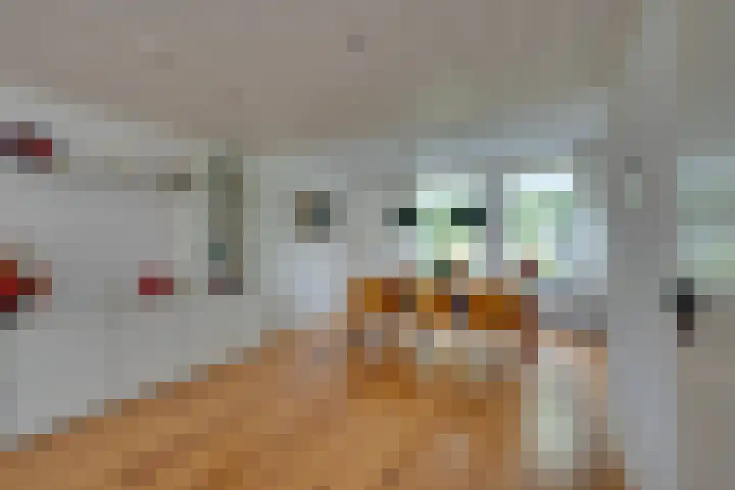 Zuideinde 93 Grootschermer thumbnail 21