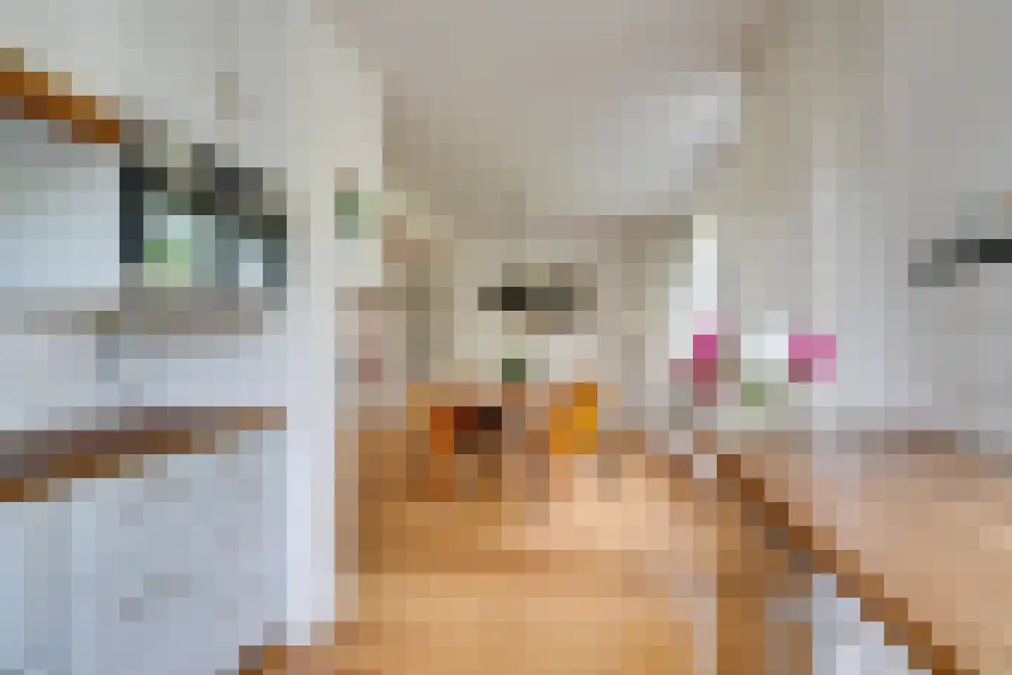 Zuideinde 93 Grootschermer thumbnail 29