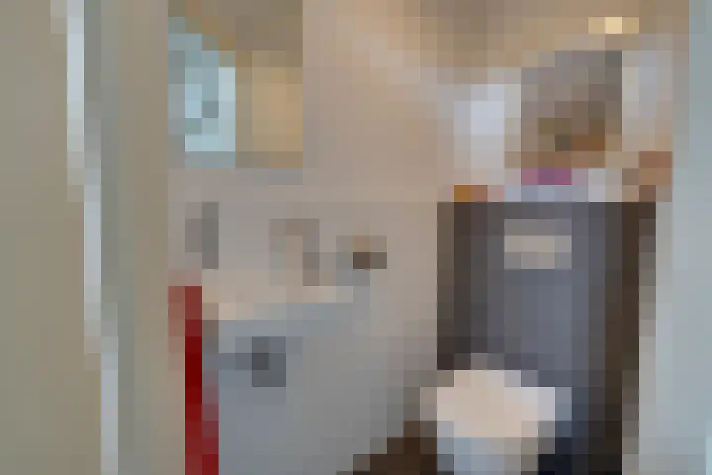 Zuideinde 93 Grootschermer thumbnail 31