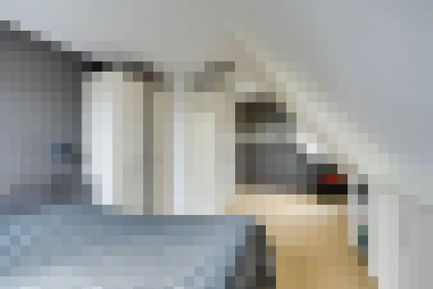 Zuideinde 93 Grootschermer thumbnail 36