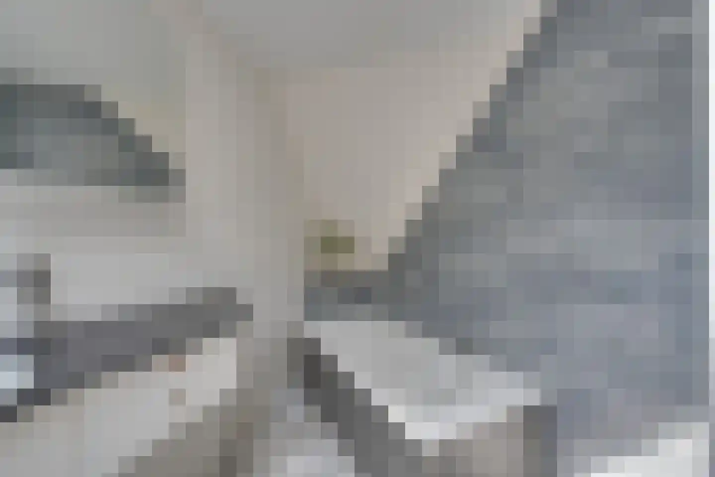 Zuideinde 93 Grootschermer thumbnail 49