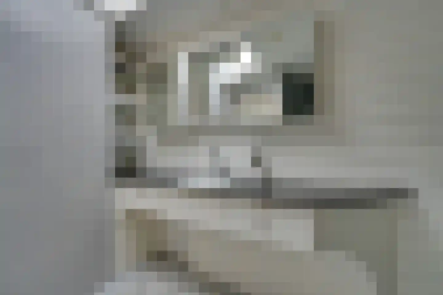 Zuideinde 93 Grootschermer thumbnail 51