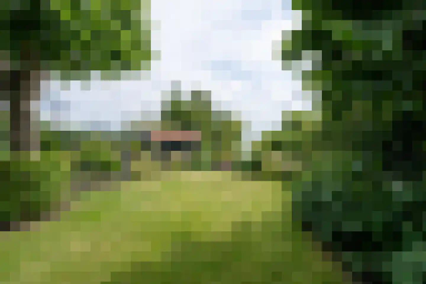 Zuideinde 93 Grootschermer thumbnail 62