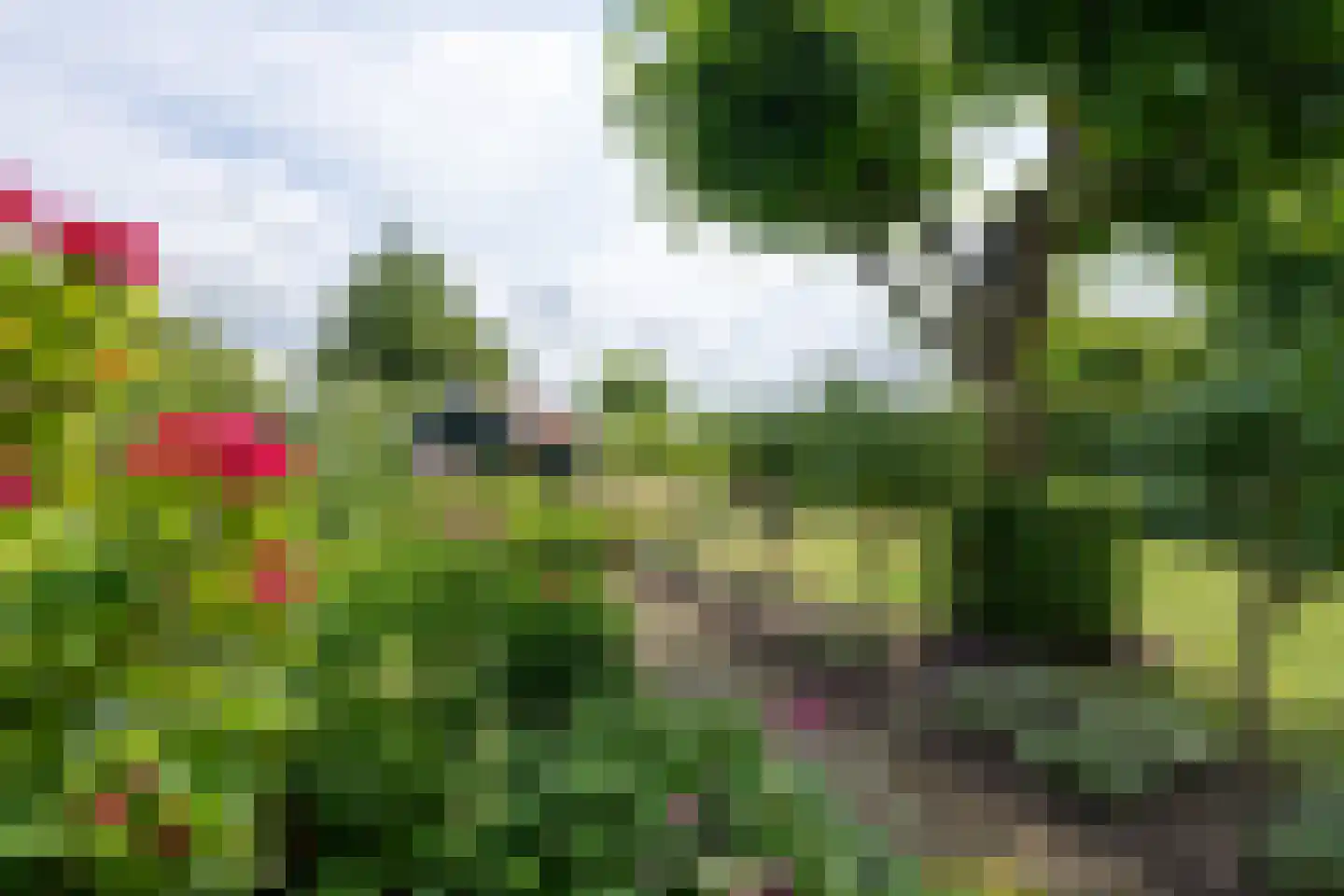 Zuideinde 93 Grootschermer thumbnail 64