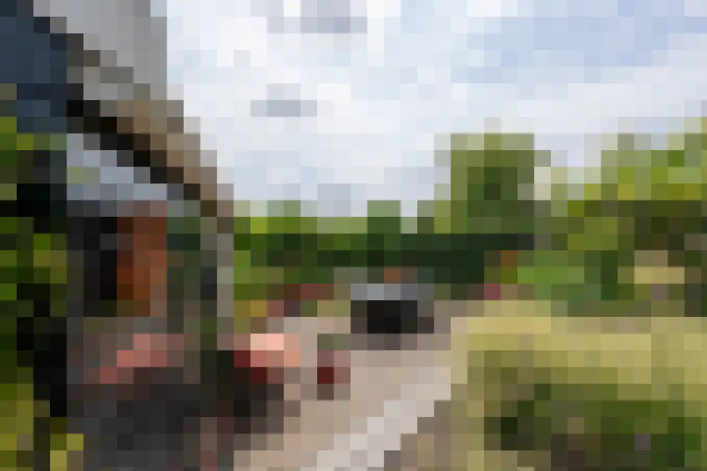 Zuideinde 93 Grootschermer thumbnail 66
